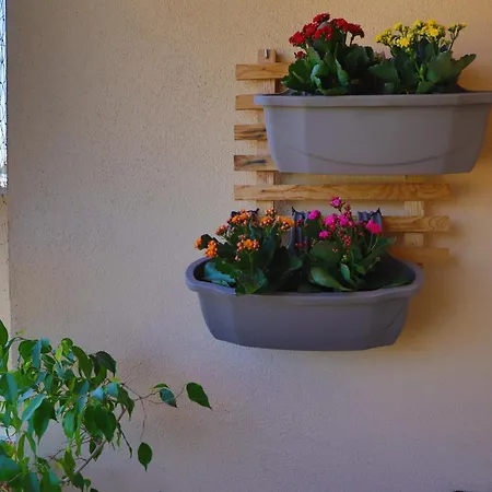 Toromanovic דירה Bihać