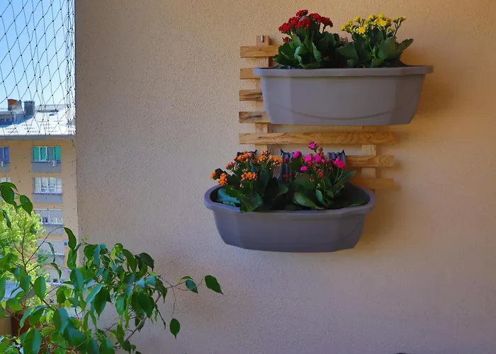 Toromanovic Appartamento Bihać